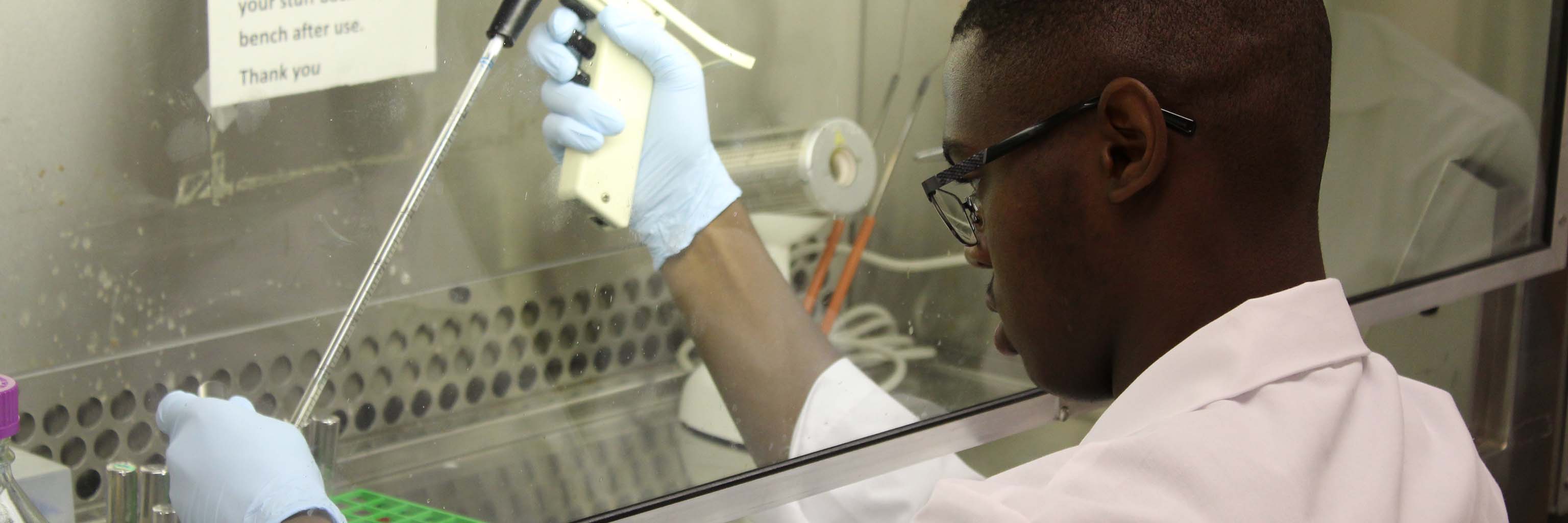 Holland RISE participant working on his experiment under a lab hood.