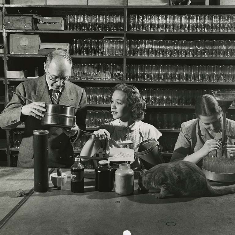 Hermann Muller (left) and two female lab members preparing fruit fly media. A cat drinks from a small saucer on the table.