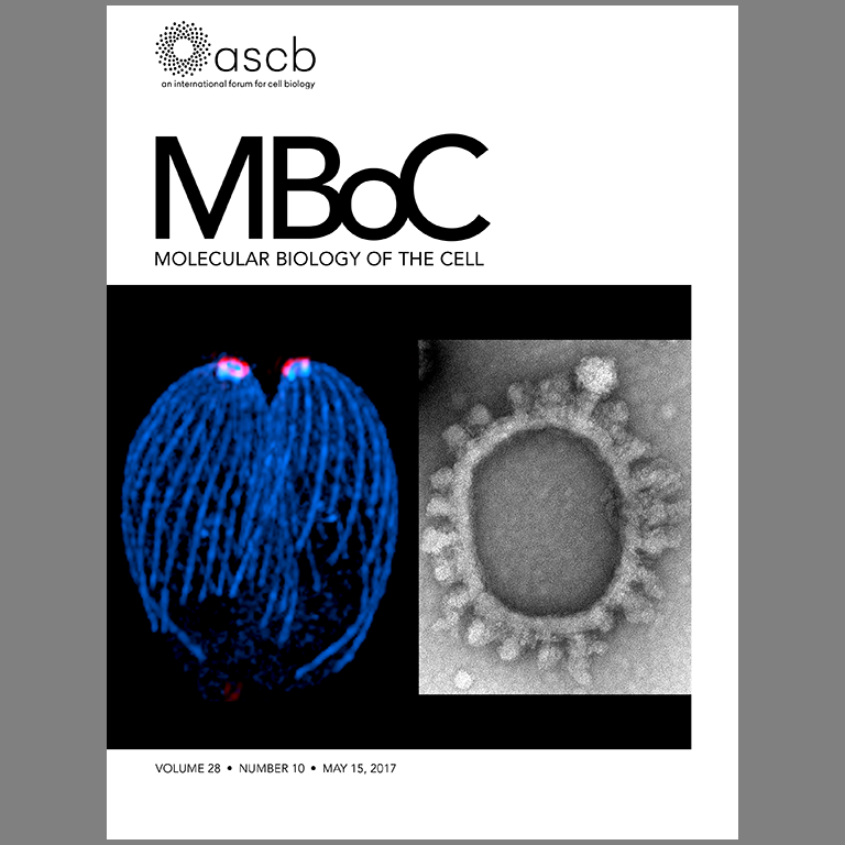 Cover of May 15, 2017, issue of MBoC