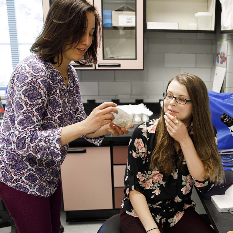 Irene Newton and Kaeli Bryant examining fruit flies in a container in Newton's lab.