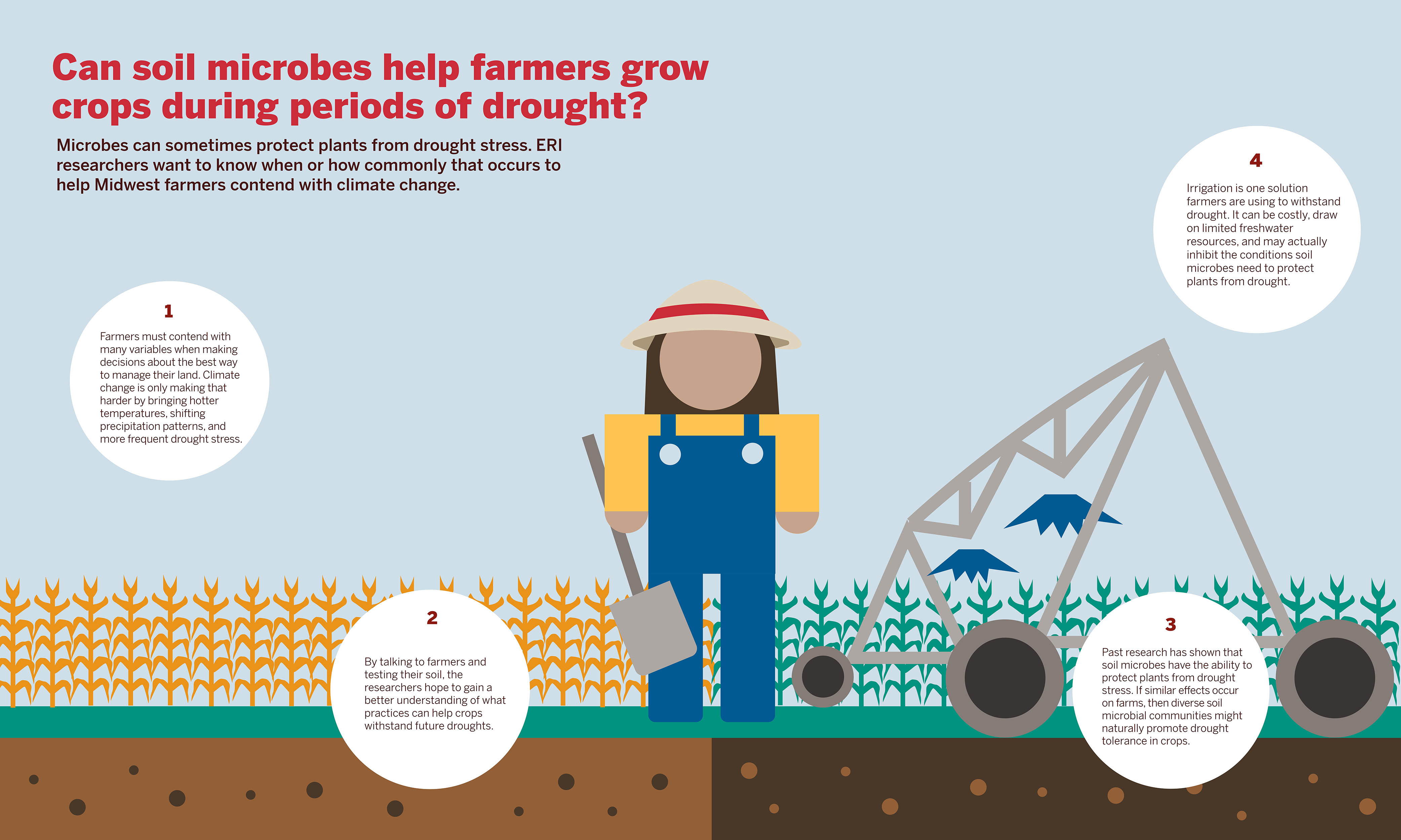 An infographic summarizing the NSF study: Can soil microbes help farmers grow crops during periods of drought?