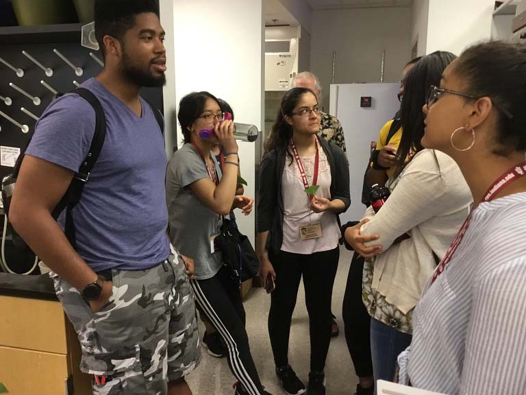 Isaiah Sloss (left) talks with participants in Roger Hangarter's lab while serving as a Jim Holland Summer Science Program counselor.