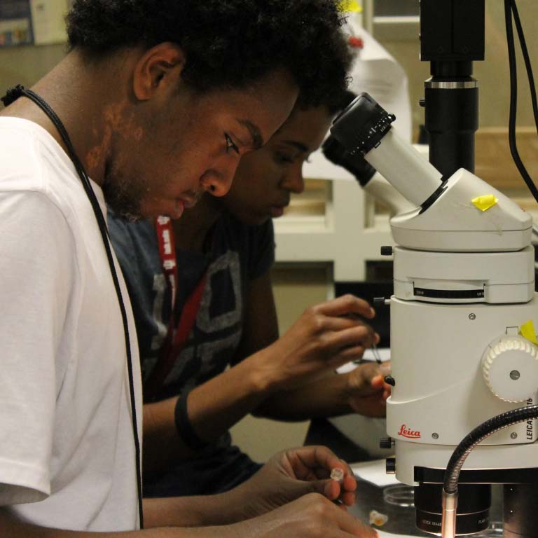 Students looking through microscopes.