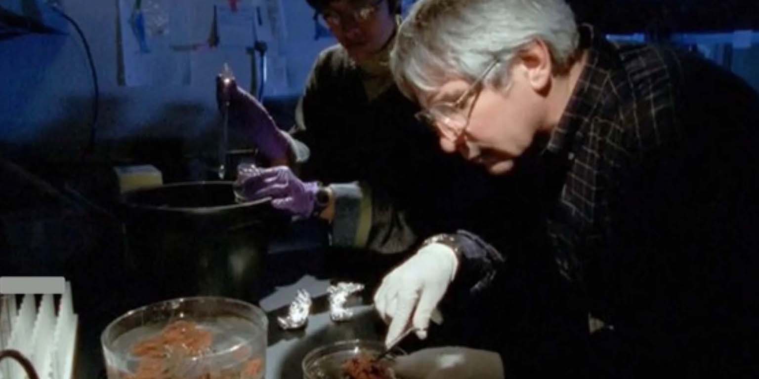Mitch Sogin examines a sponge from local waters.