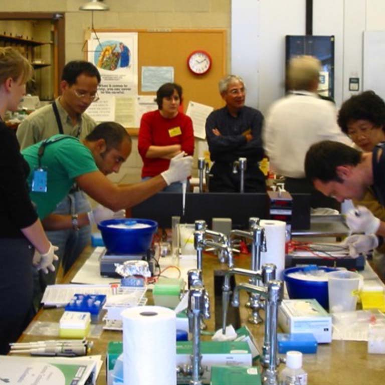 Mitch Sogin stands in the background, talking with a woman, as they watch members of his lab working on their research projects.