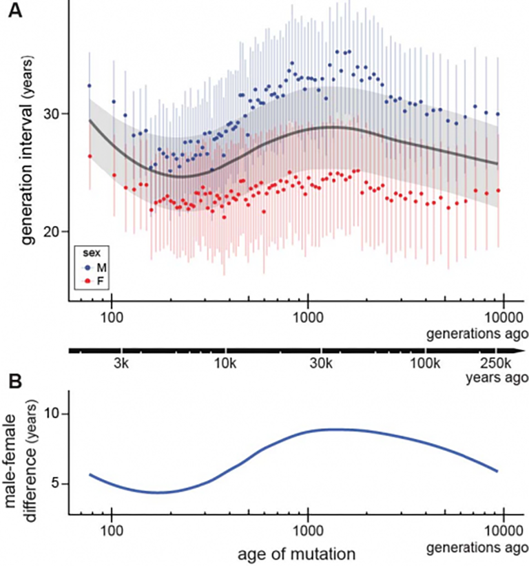 Graphs showing the average age at conception for men versus women over the past 250,000 years.