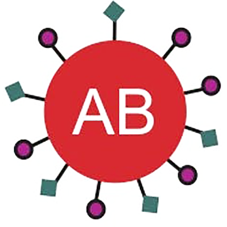 Image depicting sugar markers on a red blood cell type AB.