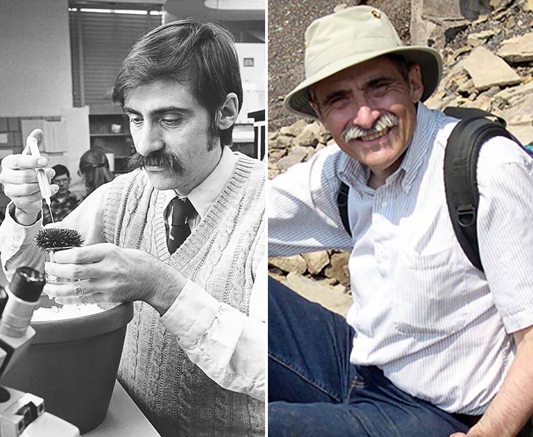 Left: Rudy Raff works with a sea urchin in 1980. Right: Raff on vacation at the fossil cliffs of Joggins ca. 2006.