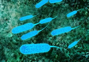 Research on the effect of the enzyme APOBEC3G