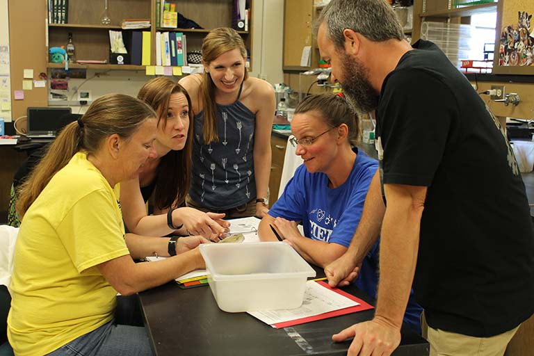 Discussion among teachers, Dr. Julia van Kessel, and graduate student Alyssa Ball during Biology Summer Institute at IU's Department of Biology.