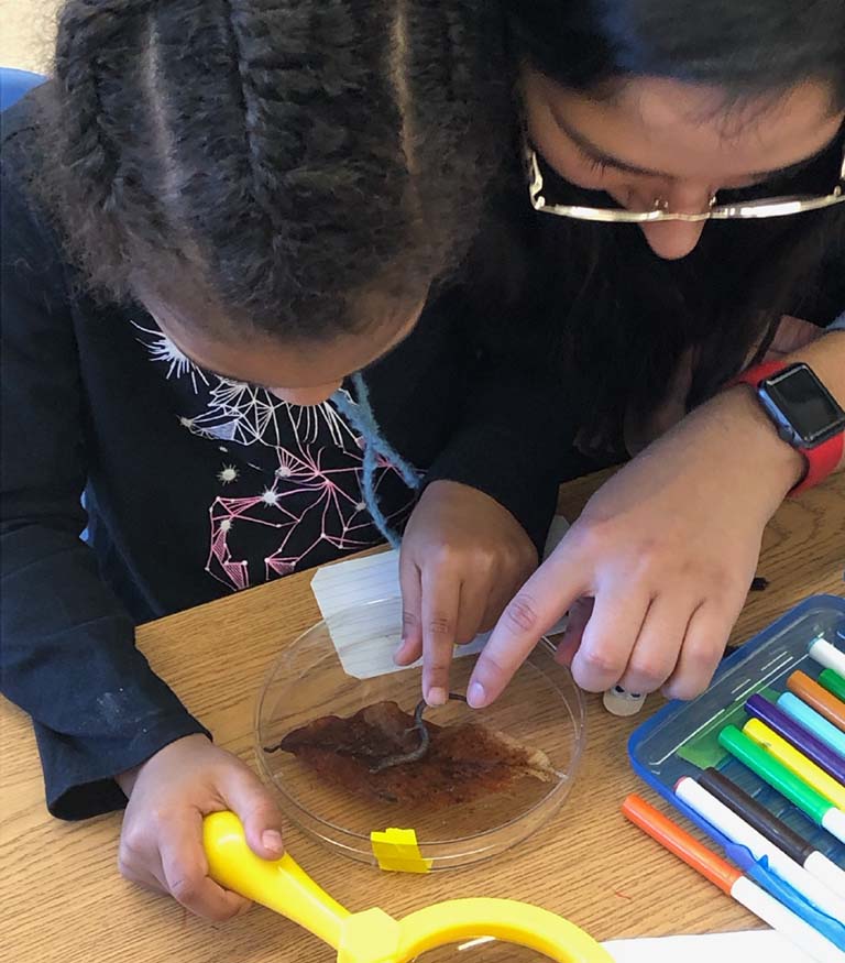 A woman talks with a young girl as they study a salamander.