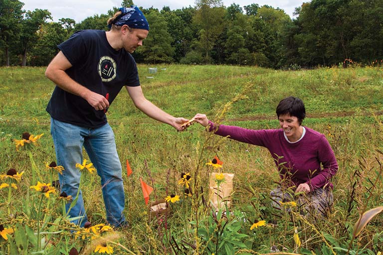 A man and a woman collect plant materials from the prairie plants in a native species versus invasive species field experiment.